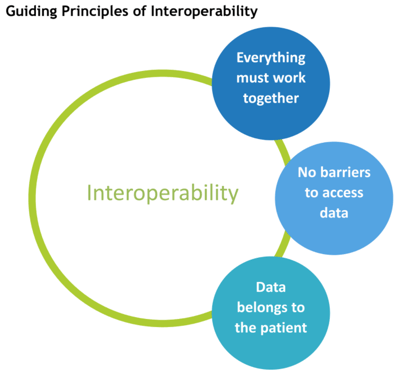 IDC-Guiding-Principles-of-Interoperability